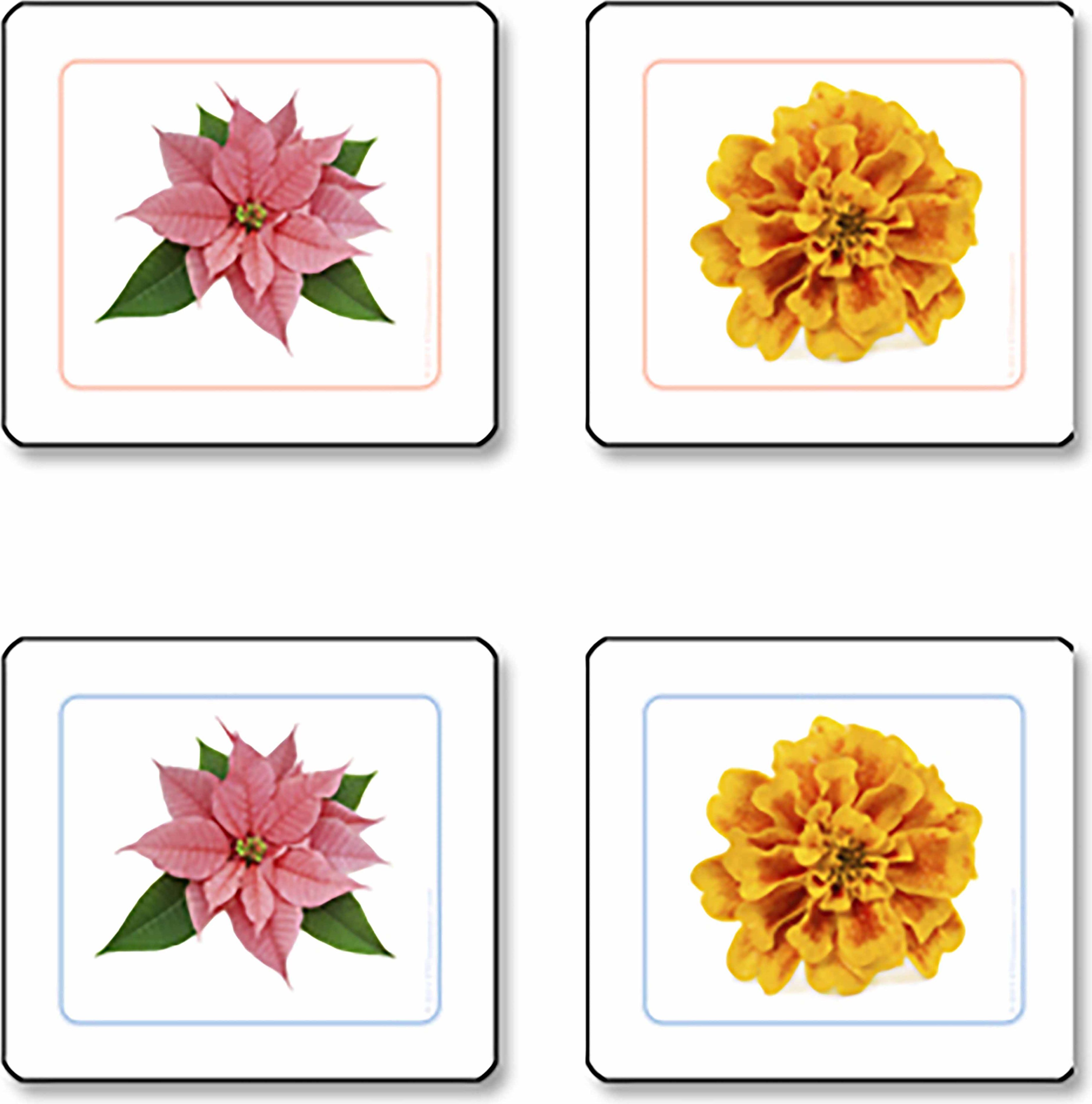 Nienhuis Montessori Flowers Matching Cards - obrázek 1