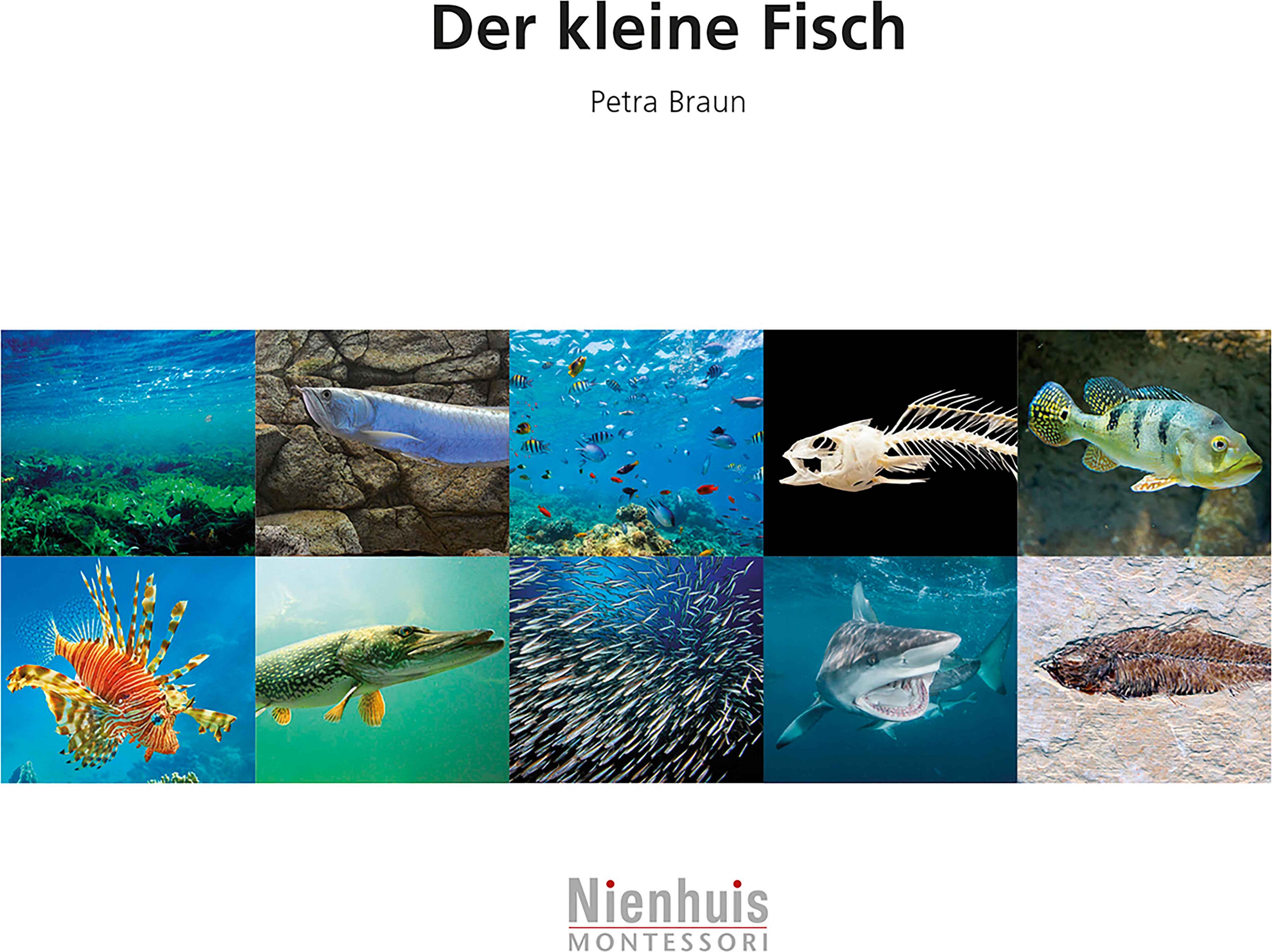 Nienhuis Montessori 523222 Der kleine Fisch (German version) - obrázek 1