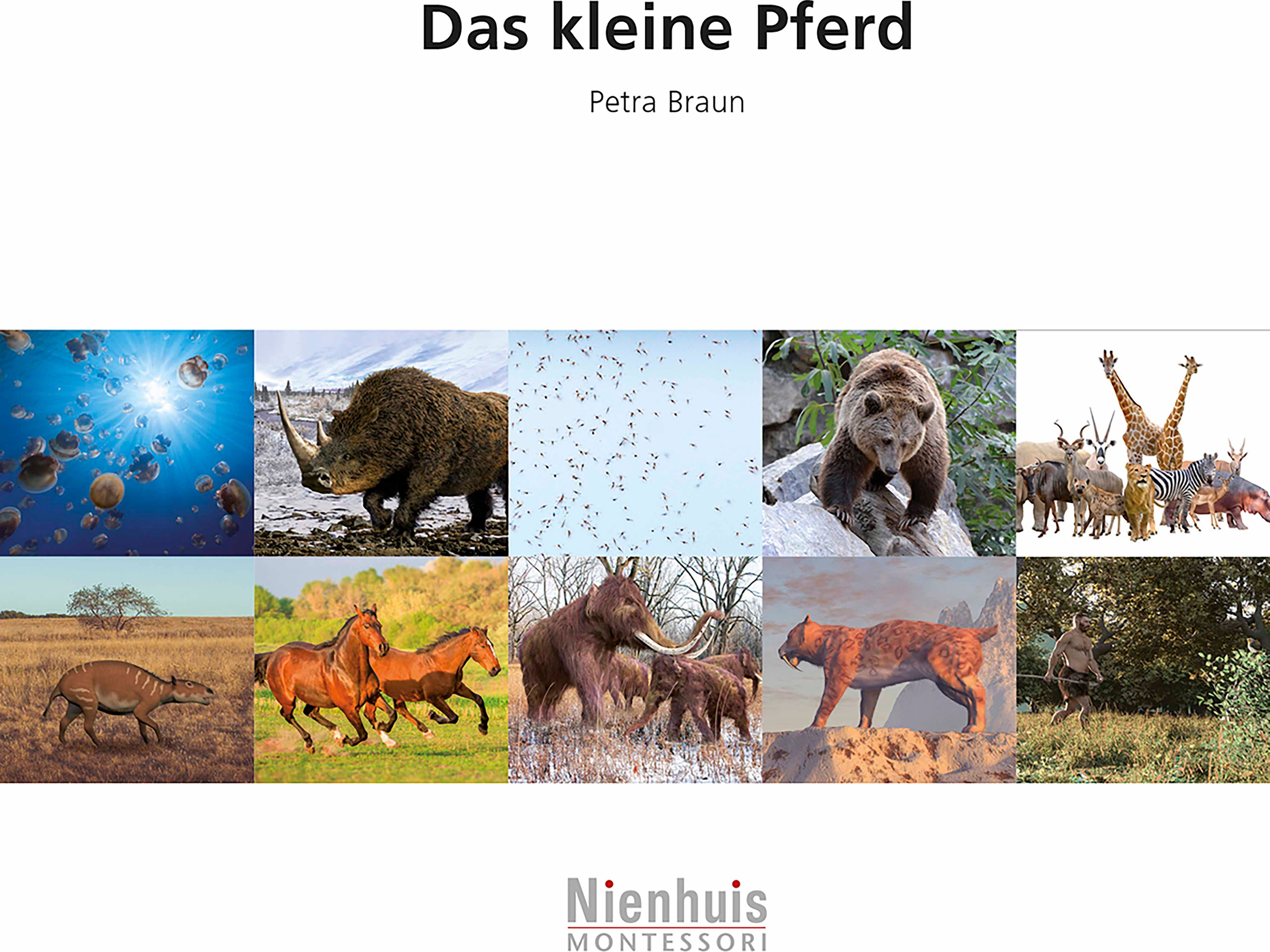 Nienhuis Montessori 523272 Das kleine Pferd (German version) - obrázek 1
