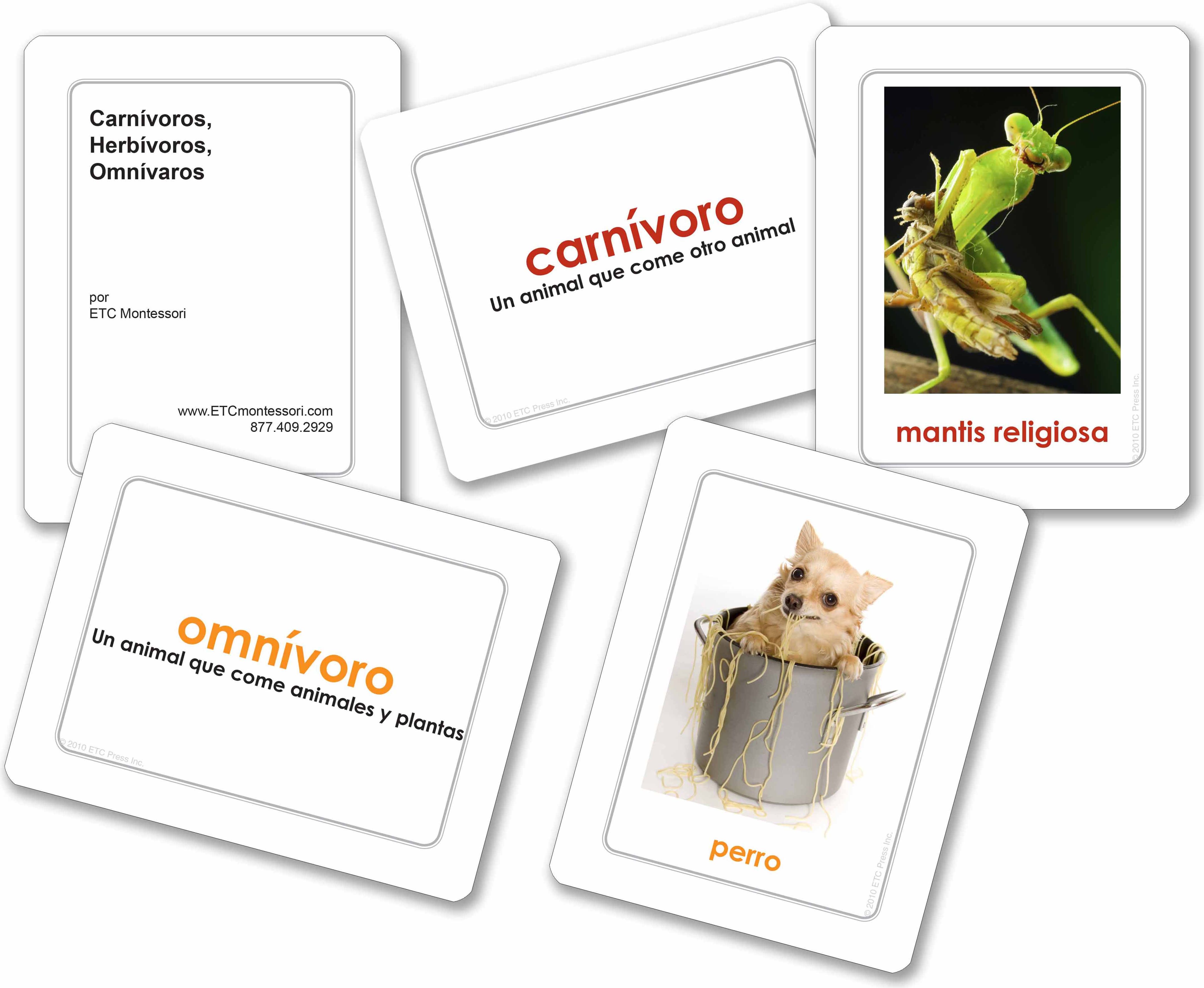 Nienhuis Montessori Carnívoros, Herbívoros, Omnívoros - obrázek 1