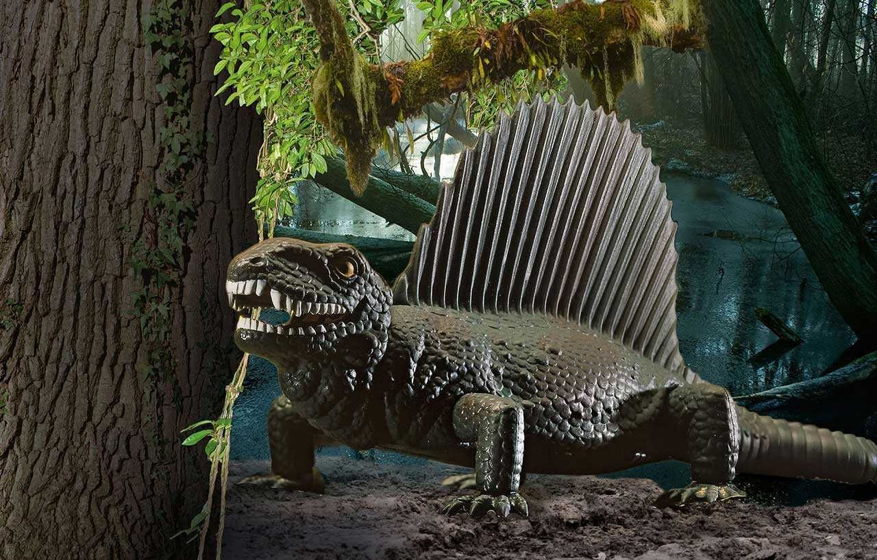 REVELL Gift-Set dinosaurus 06473 - Dimetrodon (1:13) - obrázek 2