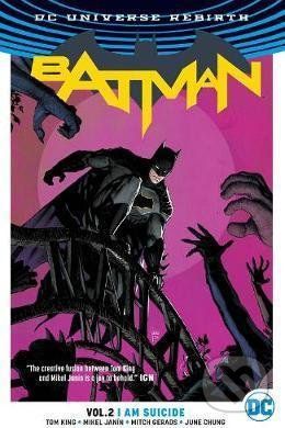 Batman (Volume 2) - Tom King - obrázek 1