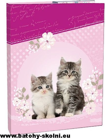 Školní box na velké sešity Stil A4 Kočičky Kitten - obrázek 1