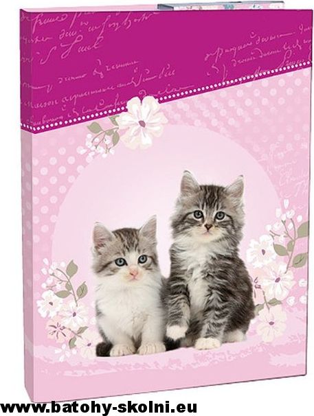 Školní box na velké sešity Stil A4 Kočičky Kitten - obrázek 2