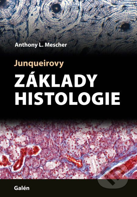 Junqueirovy základy histologie - Anthony L. Mescher - obrázek 1
