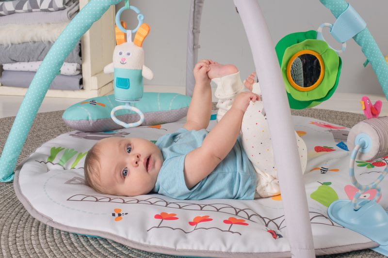 Taf Toys Hrací deka s hrazdou Zahrada - obrázek 7