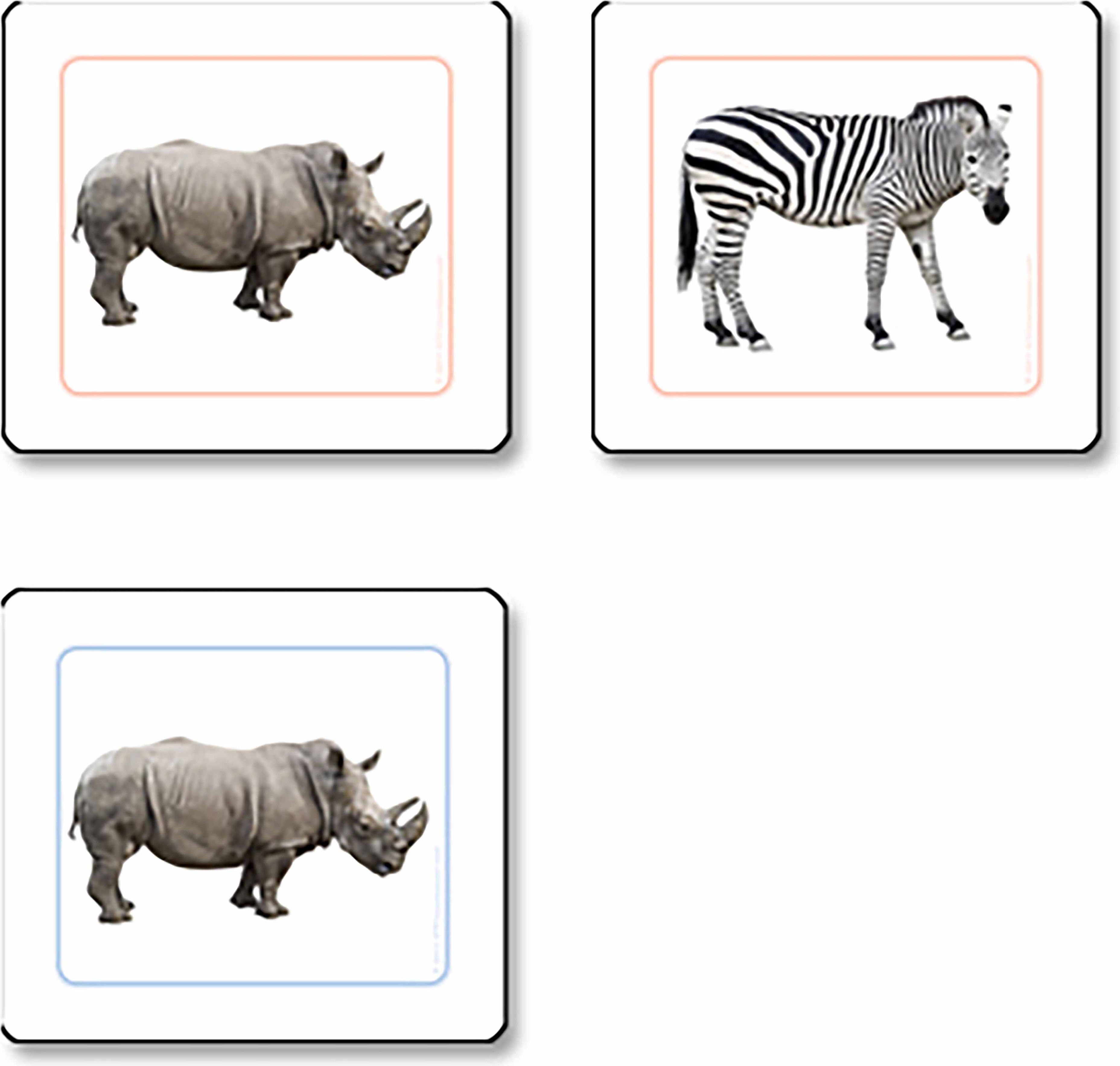 Nienhuis Montessori African Animals Matching Cards - obrázek 1