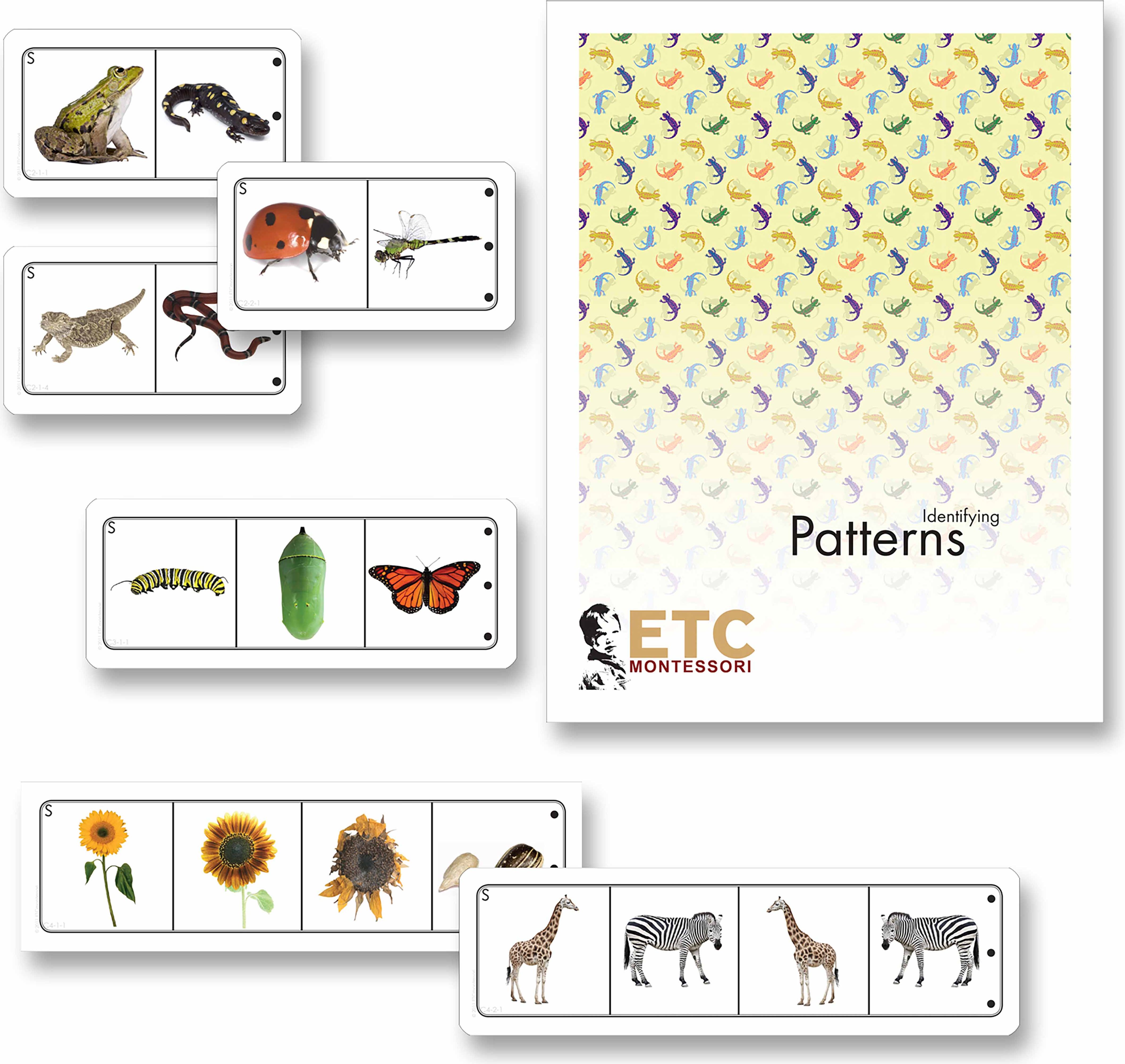 Nienhuis Montessori Looking for Patterns in Life Science - obrázek 1