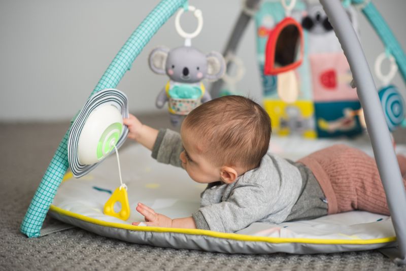 Taf Toys Hrací deka s hrazdou All Around Me - obrázek 13