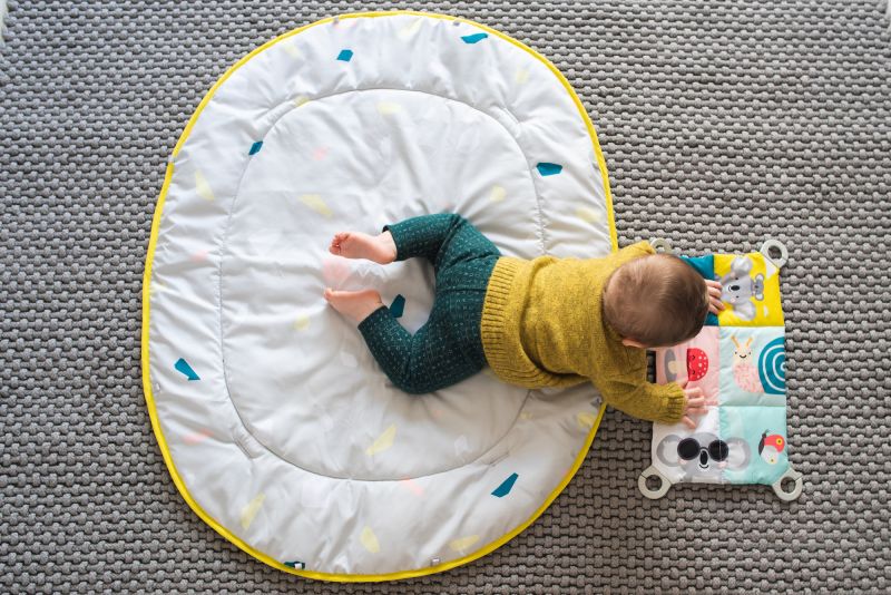 Taf Toys Hrací deka s hrazdou All Around Me - obrázek 19