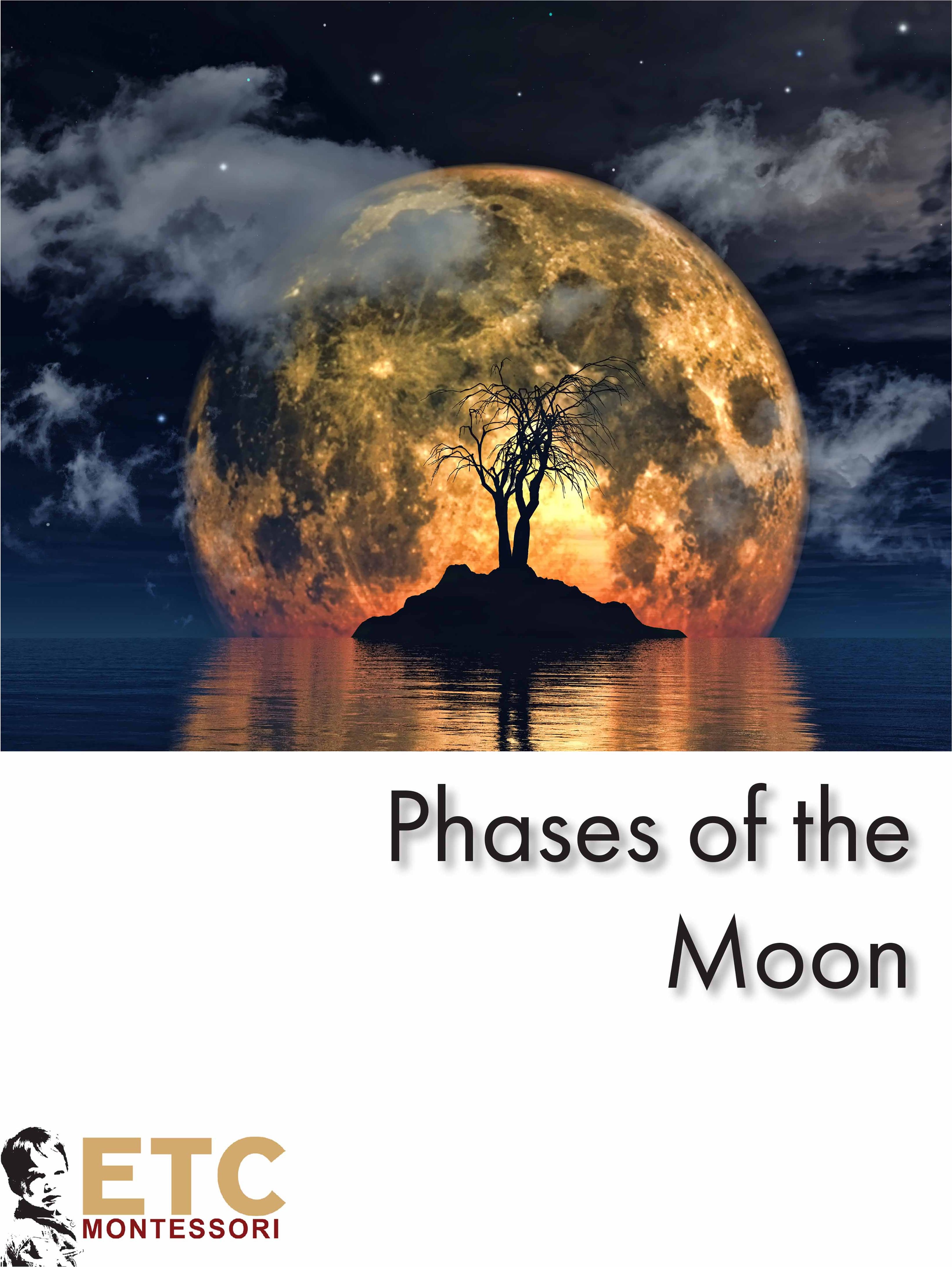 Nienhuis Montessori Phases of the Moon Nomenclature - obrázek 1