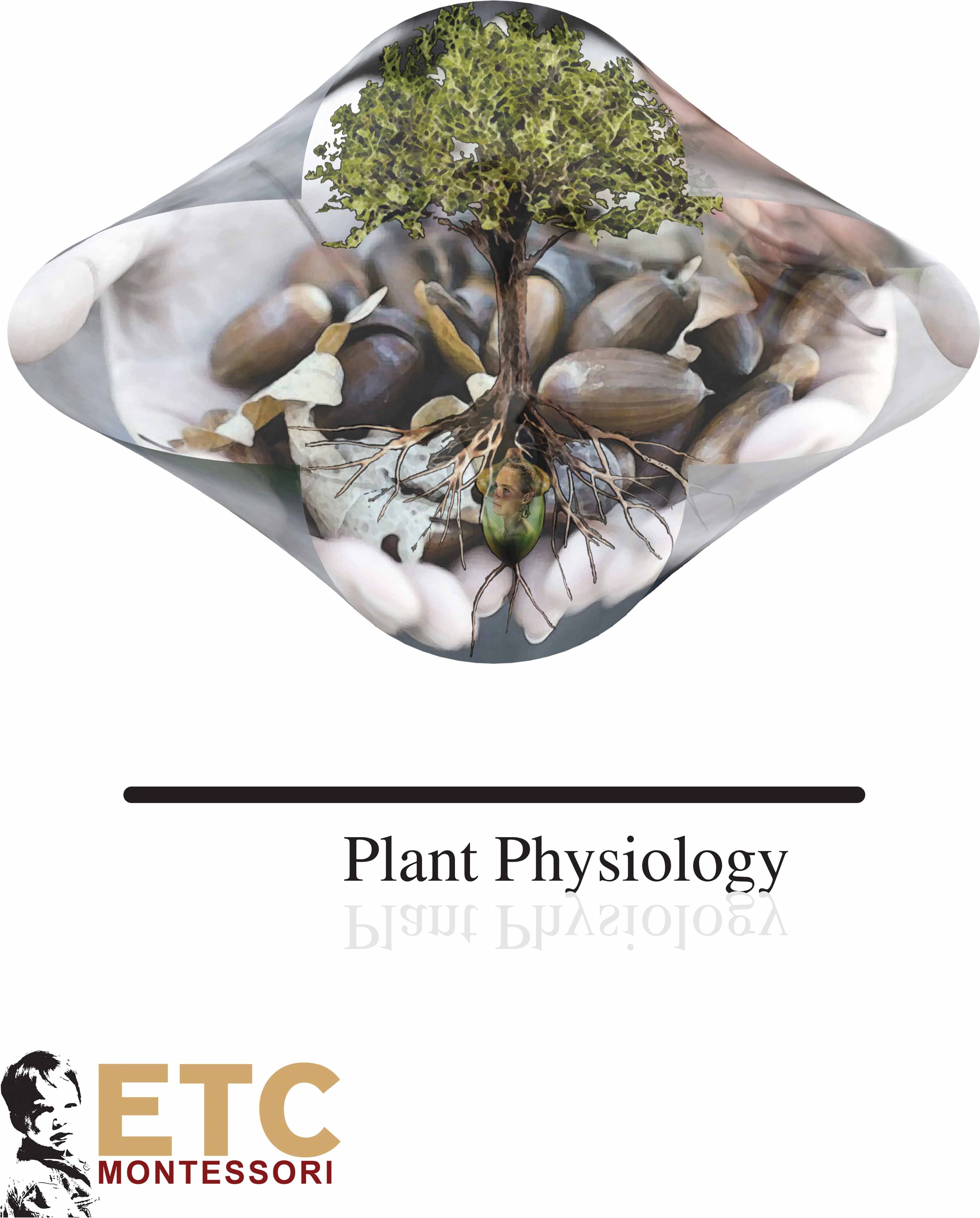 Nienhuis Montessori Plant Physiology - obrázek 1