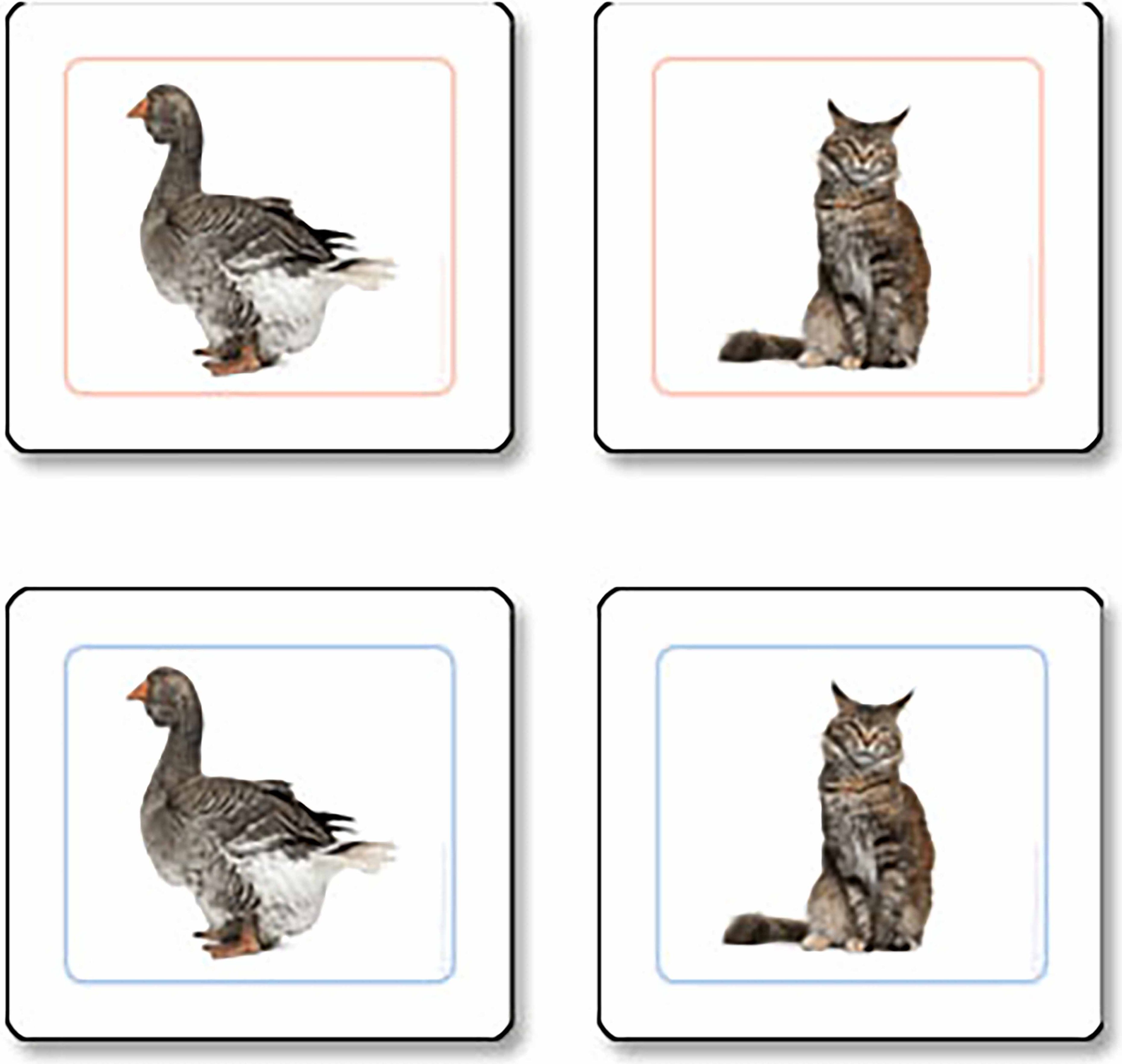 Nienhuis Montessori Animales Domésticos trabajo de emparejar - obrázek 1