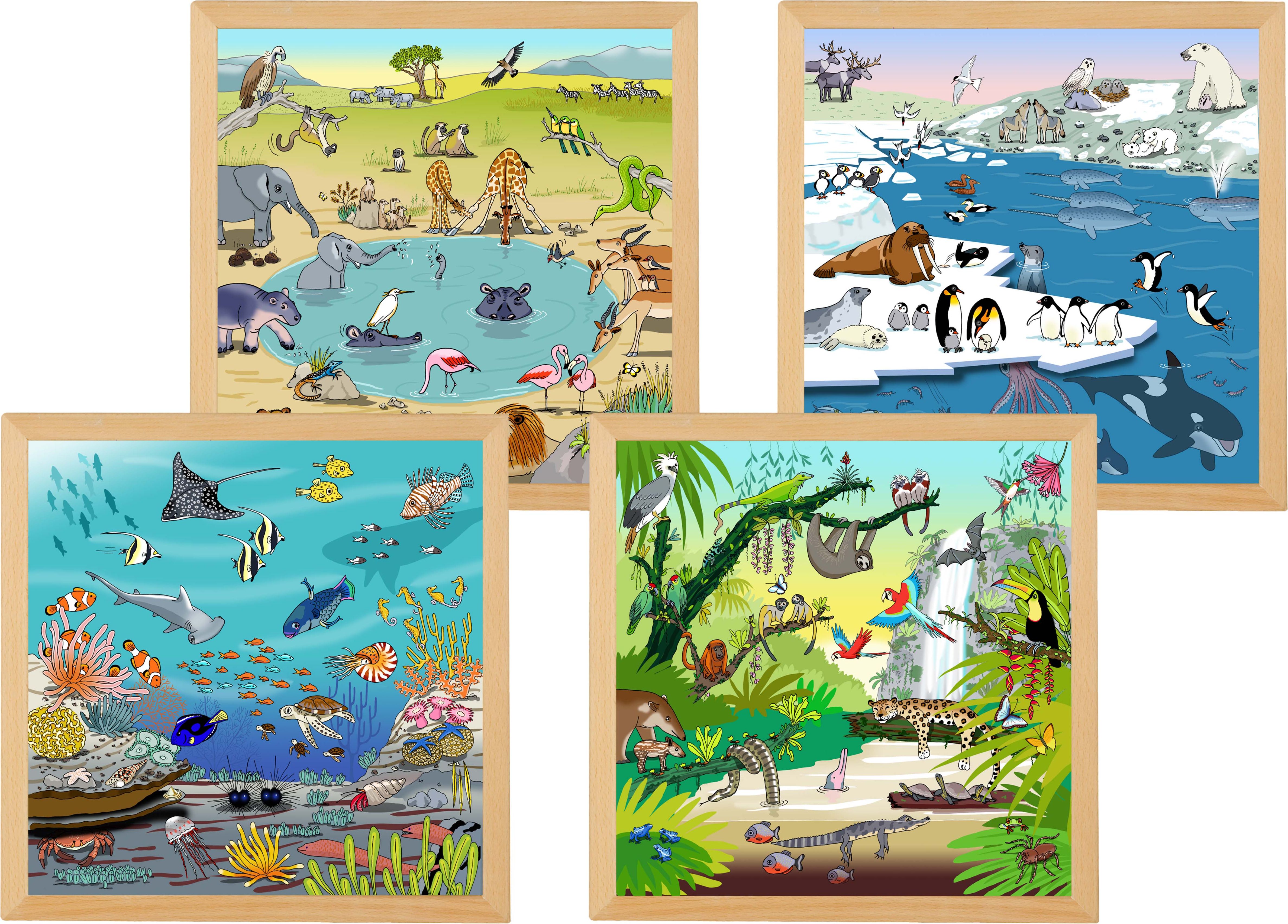 Educo 900000071 Vocabulary puzzles habitats - set of 4  l Wooden puzzles l Educo - obrázek 1
