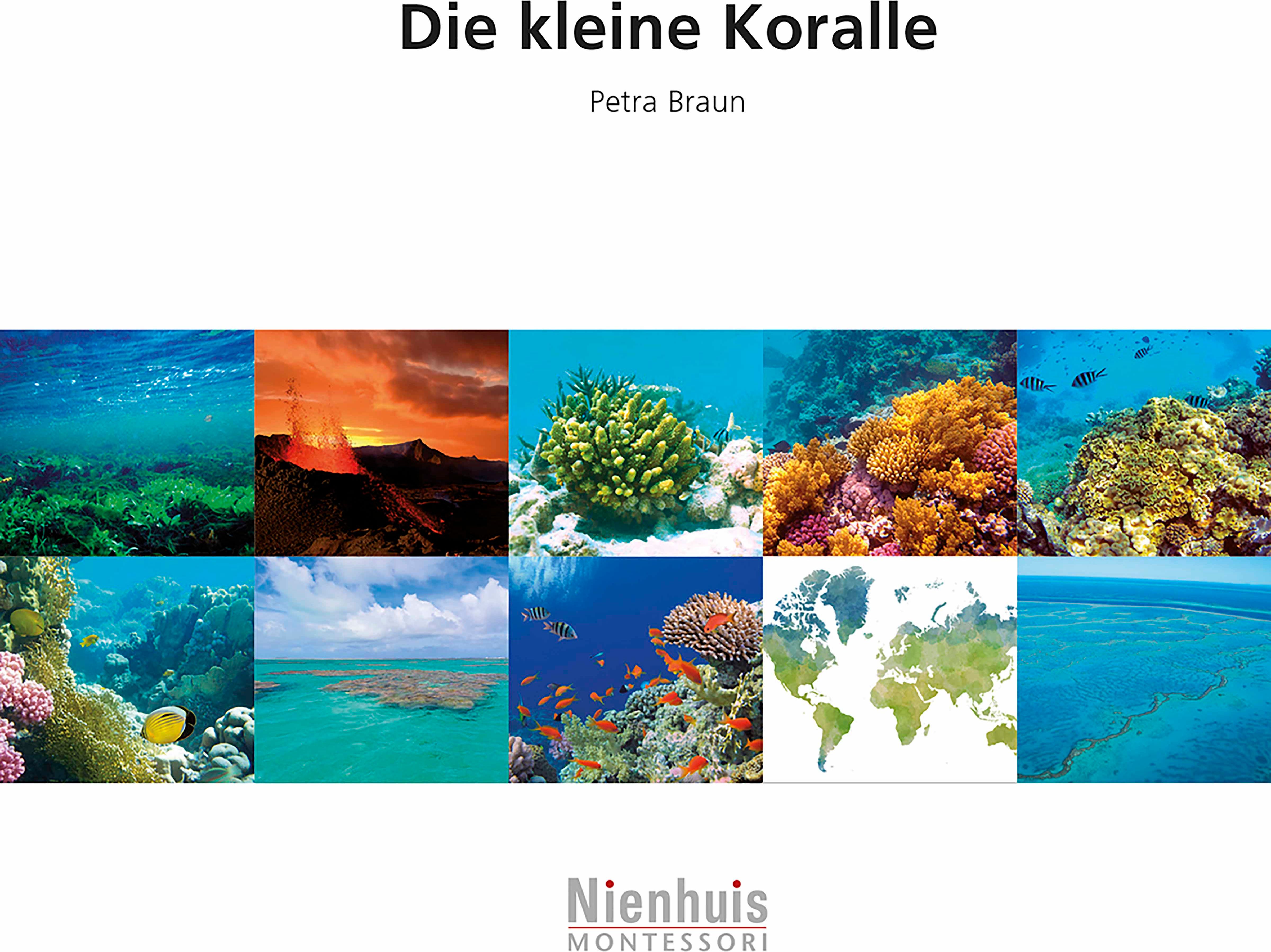 Nienhuis Montessori 523202 Die kleine Koralle (German version) - obrázek 1