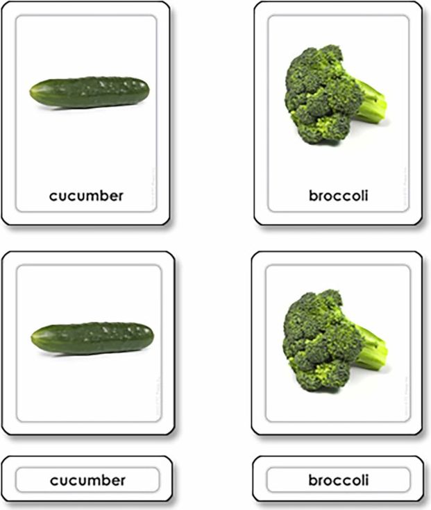 Přikládací karty s popisky: Zelenina - obrázek 1