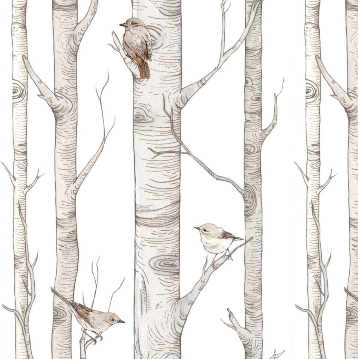Tapeta DEKORNIK Scandinavian Birch Forrest - obrázek 4