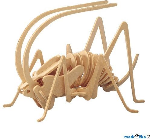3D Puzzle přírodní - Cvrček - obrázek 1