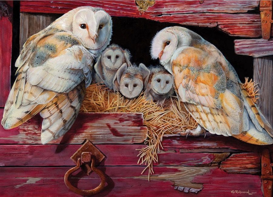 Cobble Hill Puzzle 1000 dílků Barn Owls - obrázek 1