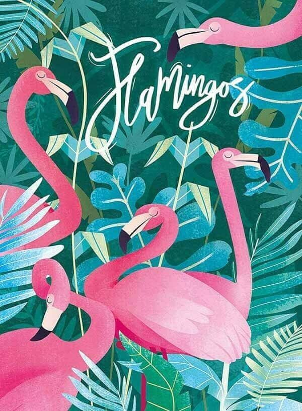 Clementoni Puzzle 500 dílků Fantastic Animals - Flamingos - obrázek 1