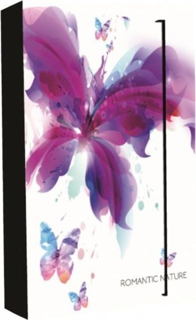 Karton P+P Karton P+P Box na sešity A4 Jumbo Romantic Nature Motýl - obrázek 1