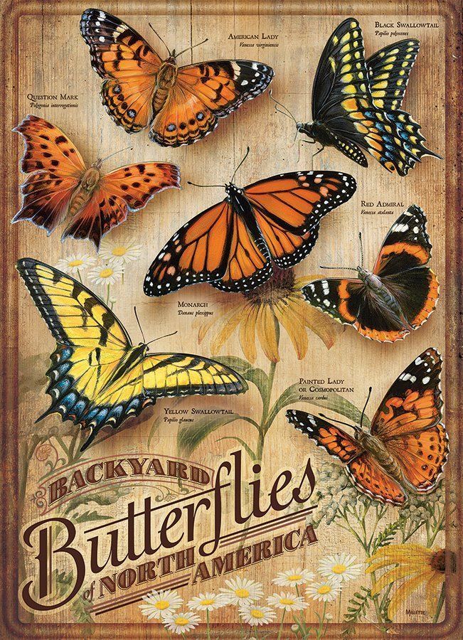 Cobble Hill Puzzle Zahradní motýli 500 dílků - obrázek 1