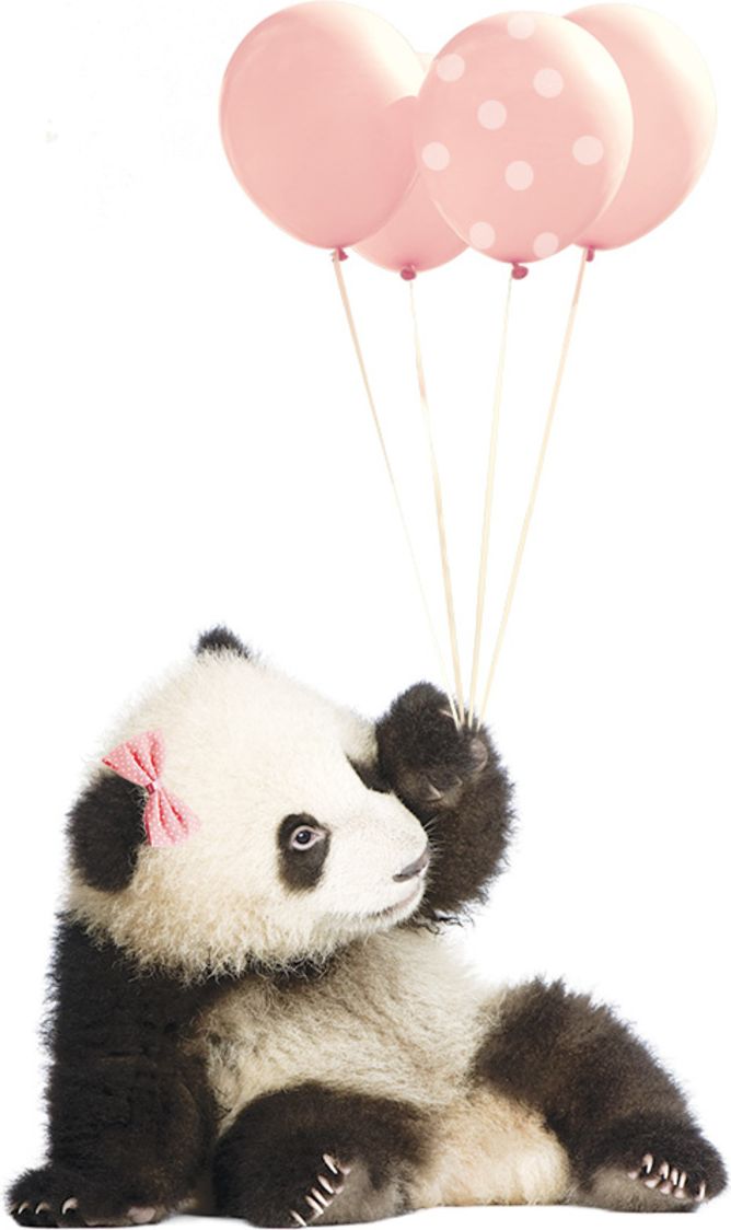 Samolepka na zeď Dekornik Panda I 16787-0, 50x83 cm - obrázek 2