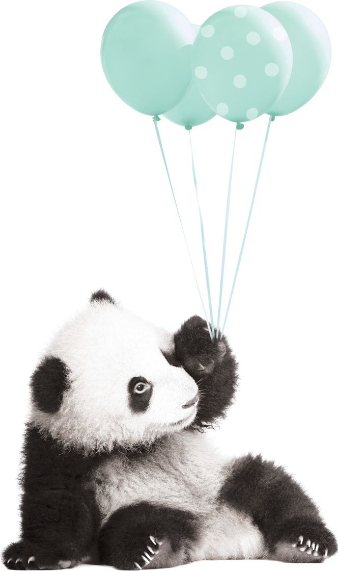 Samolepka na zeď Dekornik Panda II 16784-0, 50x83 cm - obrázek 3