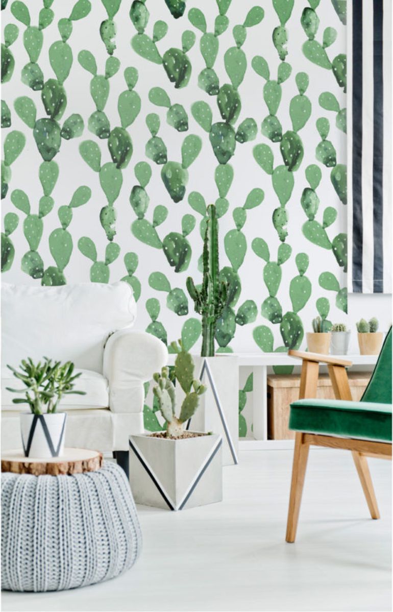 Tapeta DEKORNIK Kaktusy 50x280 cm - obrázek 2