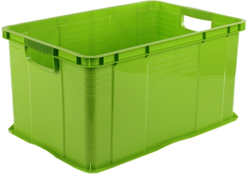 Rotho Úložný box Agilo 55 l, zelená - obrázek 1