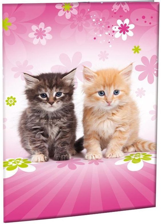 Stil Desky na abecedu Cats - obrázek 1