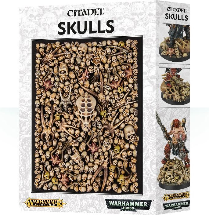 Citadel Skulls - obrázek 1