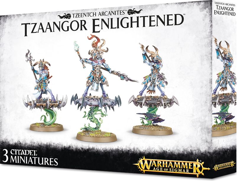 Games Workshop Disciples of Tzeentch: Tzaangor Enlightened - obrázek 1