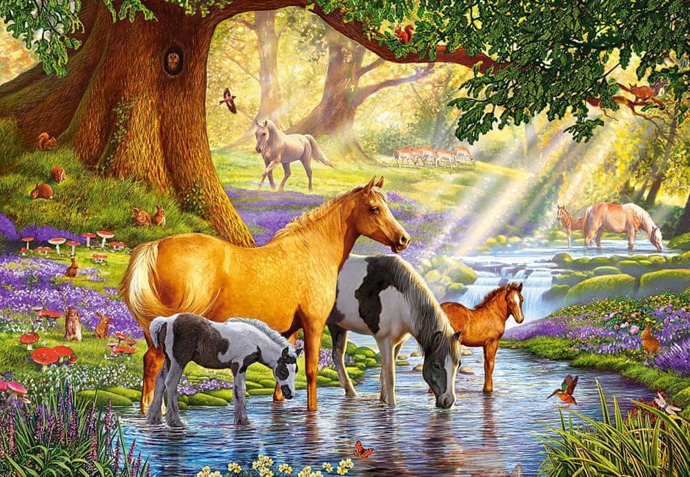 Castorland Puzzle 1000 dílků Horses by the Stream - obrázek 1