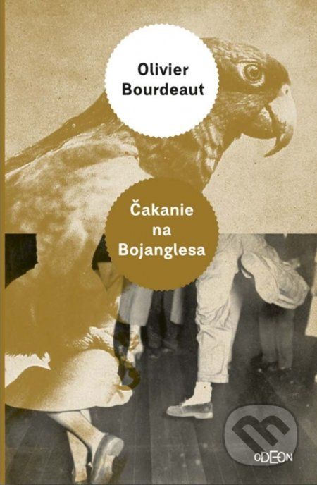 Čakanie na Bojanglesa - Olivier Bourdeaut - obrázek 1