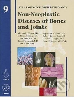 Non-Neoplastic Diseases of Bones and Joints - Michael J. Klein - obrázek 1