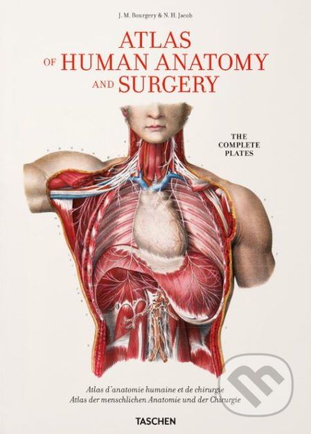 Atlas of Human Anatomy and Surgery - Jean-Marie Le Minor - obrázek 1