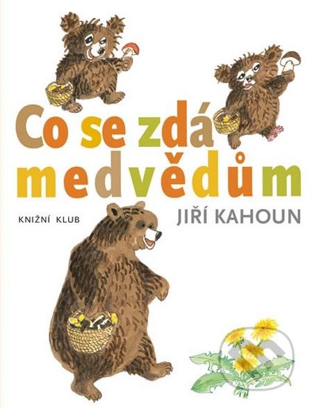 Co se zdá medvědům - Jiří Kahoun - obrázek 1