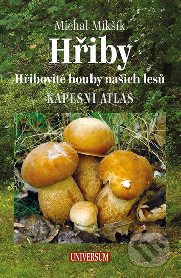 Hřiby - Michal Mikšík - obrázek 1