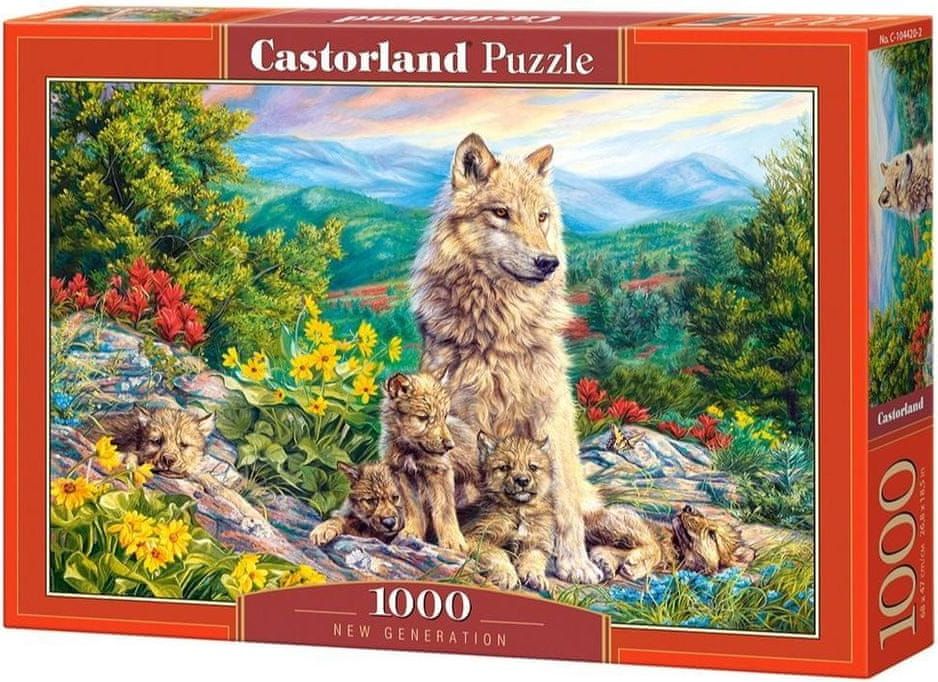 Castorland Puzzle 1000 dílků New Generation - obrázek 1