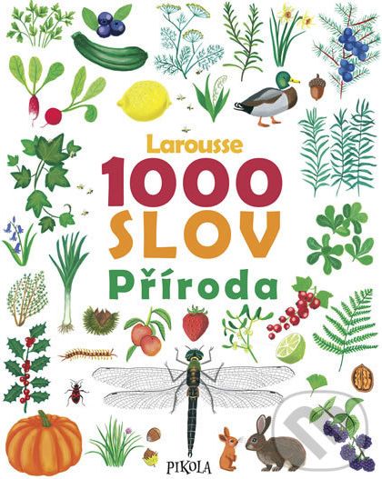 1000 slov – Příroda - Kolektiv autorů, Marie-Élise Massonová (ilustrátor) - obrázek 1