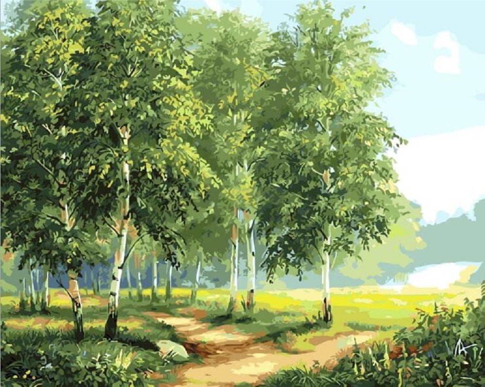 Maluješ Malování podle čísel - BŘÍZY U CESTY II - 40x50, nevypnuté - obrázek 1