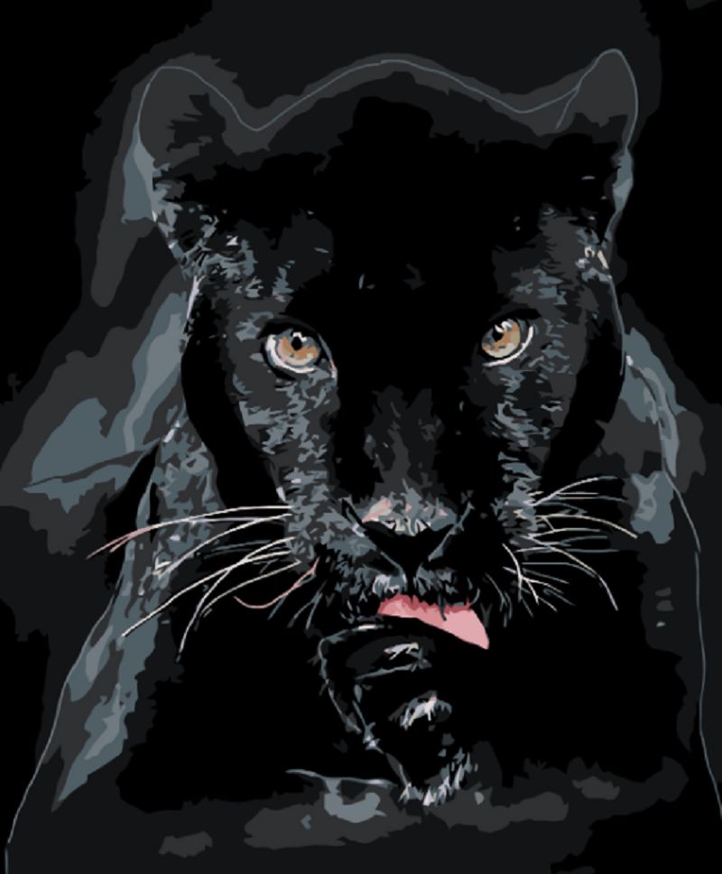 Maluješ Malování podle čísel - ČERNÁ PUMA - 80x100, nevypnuté - obrázek 1