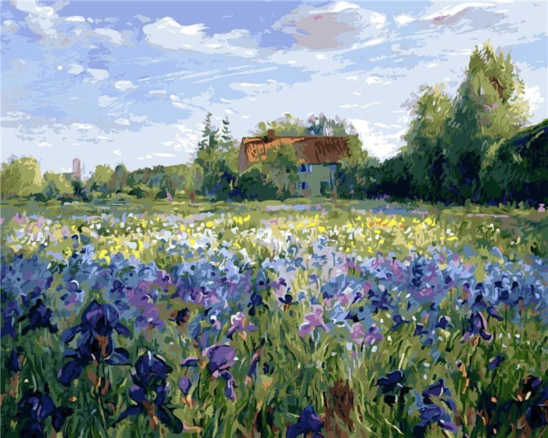 Maluješ Malování podle čísel - DŮM NA VENKOVĚ - 40x50, nevypnuté - obrázek 1