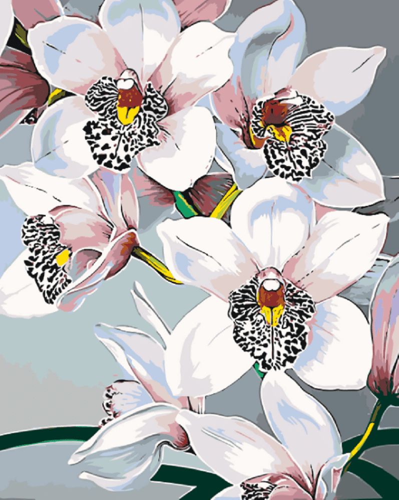 Maluješ Malování podle čísel - NÁDHERNÉ ORCHIDEJE - 80x100, nevypnuté - obrázek 1