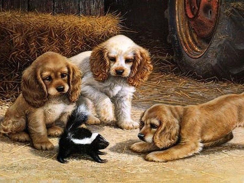 Maluješ Malování podle čísel - ŠTĚŇÁTKA NA STATKU - 40x50, vypnuté - obrázek 1