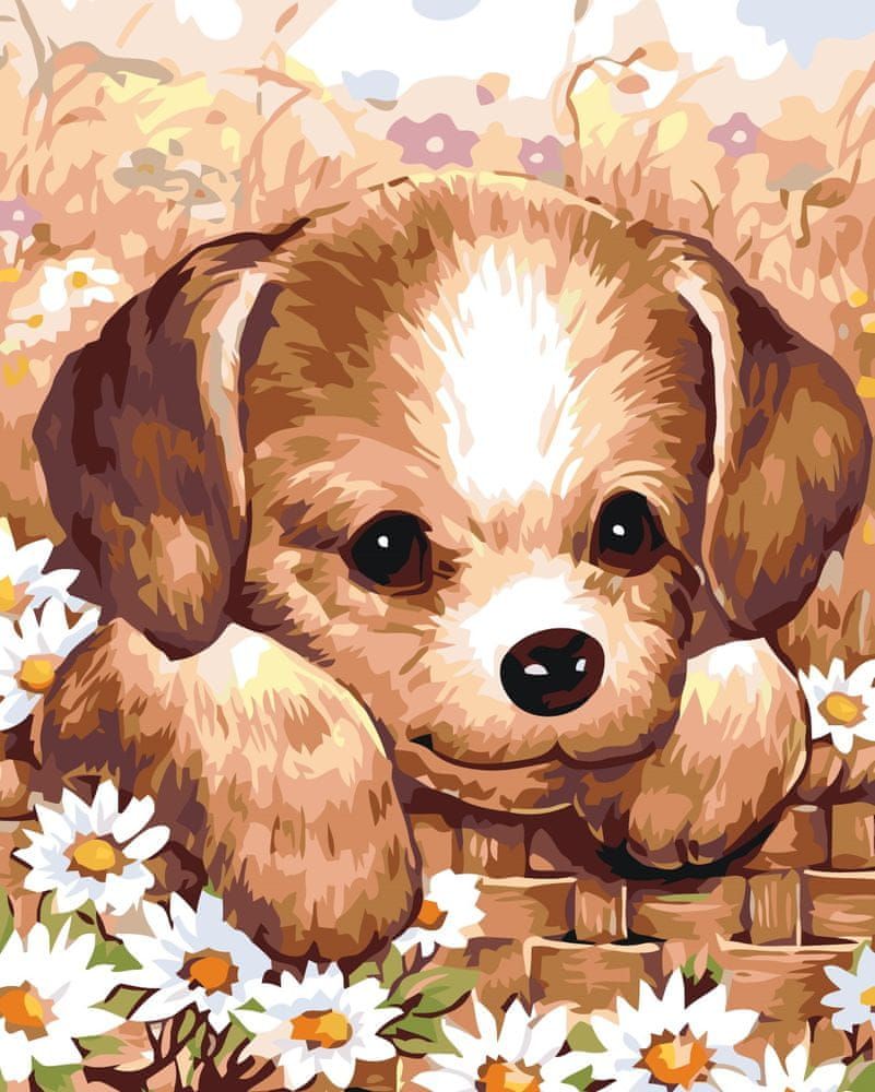 Maluješ Malování podle čísel - ŠTĚŇÁTKO - 40x50, vypnuté - obrázek 1