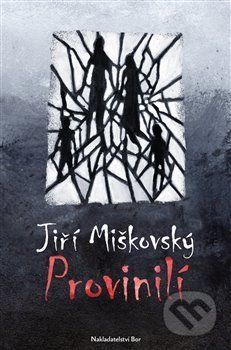 Provinilí - Jiří Miškovský - obrázek 1
