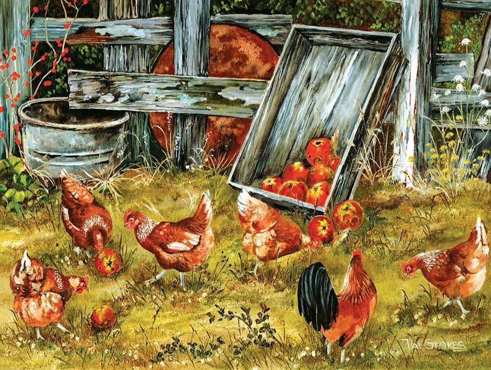 SunsOut Puzzle 500 dílků XXL dílků - Pickin Chickens - obrázek 1