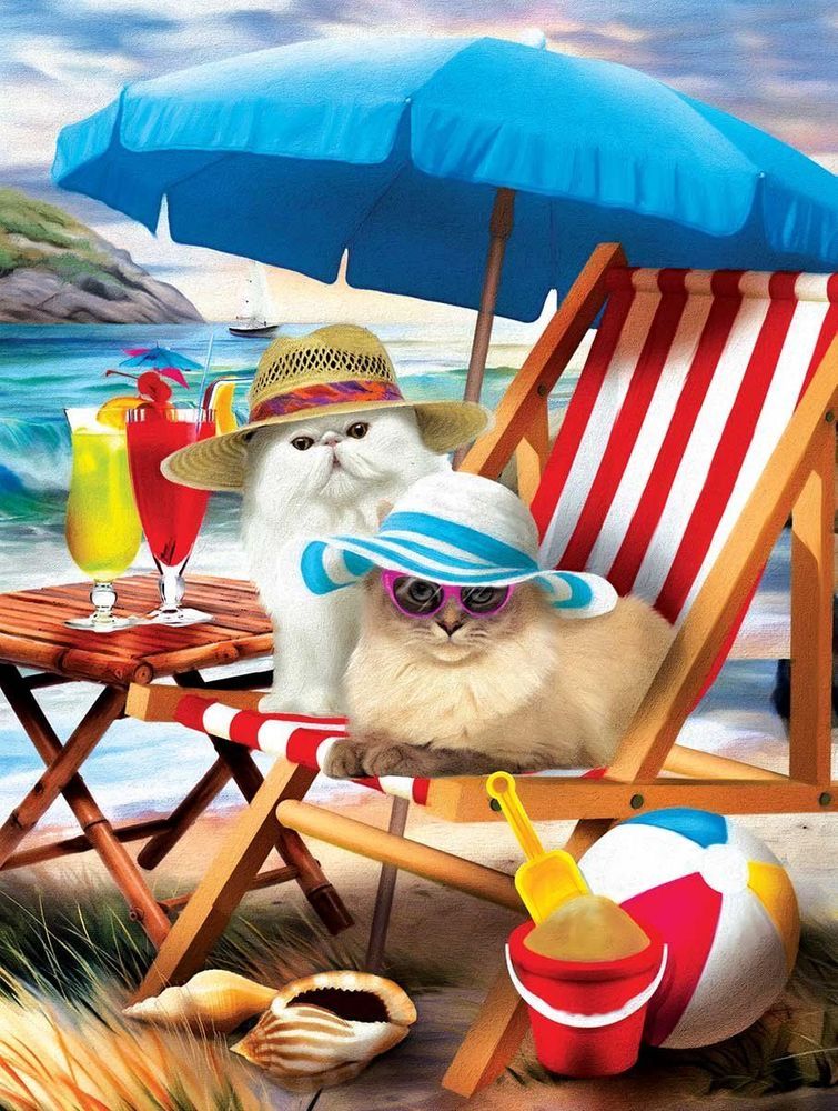 SunsOut Puzzle 300 dílků XXL dílků - Beach Cats - obrázek 1